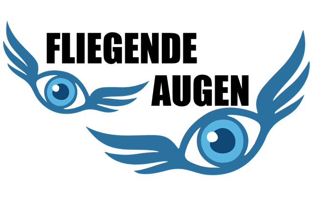 Fliegende Augen Logo